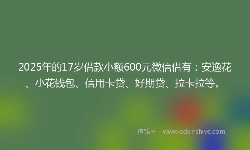 2025年的17岁借款小额600元微信借有：安逸花、小花钱包、信用卡贷、好期贷、拉卡拉等。
