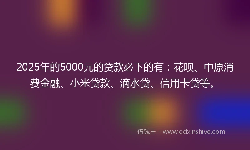 2025年的5000元的贷款必下的有：花呗、中原消费金融、小米贷款、滴水贷、信用卡贷等。