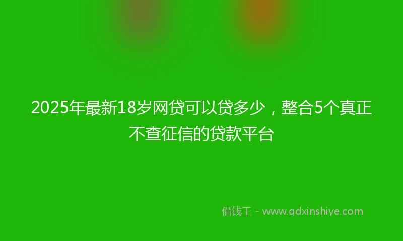 2025年最新18岁网贷可以贷多少，整合5个真正不查征信的贷款平台