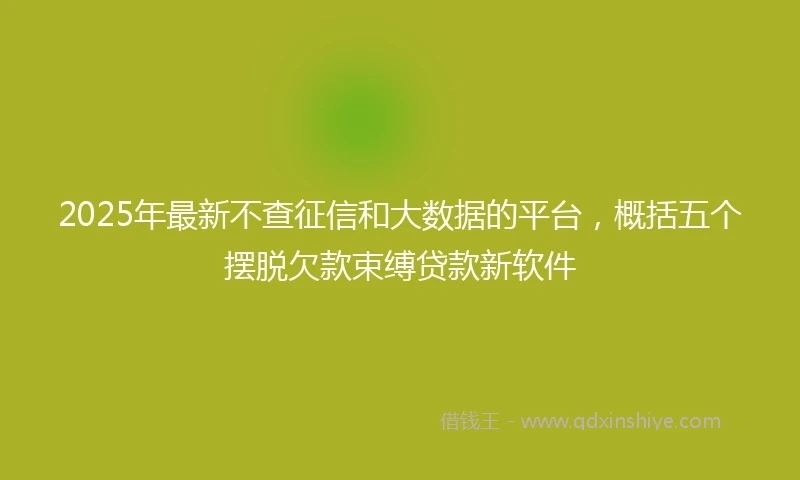 2025年最新不查征信和大数据的平台，概括五个摆脱欠款束缚贷款新软件