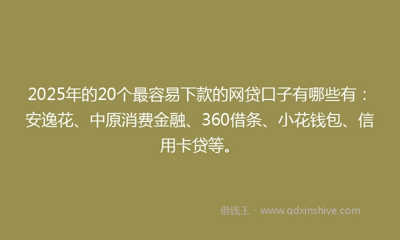 2025年的20个最容易下款的网贷口子有哪些有：安逸花、中原消费金融、360借条、小花钱包、信用卡贷等。