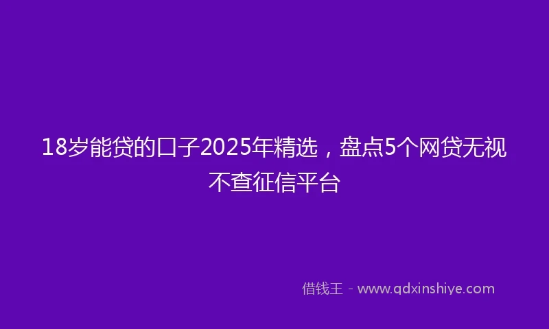 18岁能贷的口子2025年精选，盘点5个网贷无视不查征信平台
