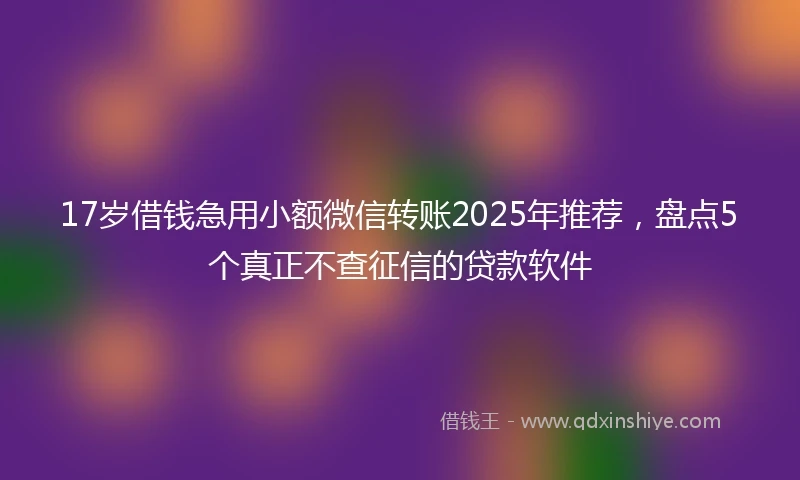 17岁借钱急用小额微信转账2025年推荐，盘点5个真正不查征信的贷款软件