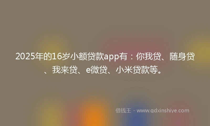 2025年的16岁小额贷款app有：你我贷、随身贷、我来贷、e微贷、小米贷款等。