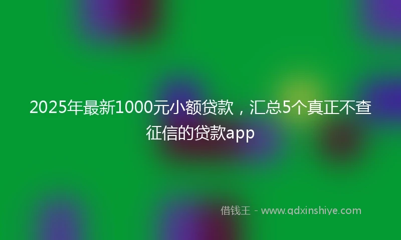 2025年最新1000元小额贷款，汇总5个真正不查征信的贷款app