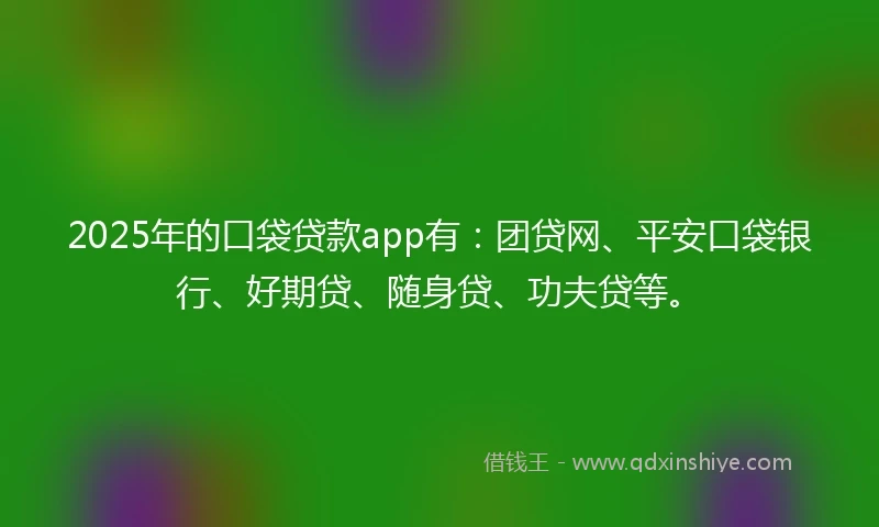 2025年的口袋贷款app有：团贷网、平安口袋银行、好期贷、随身贷、功夫贷等。