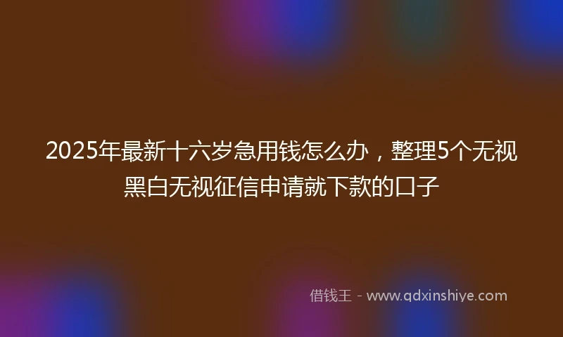 2025年最新十六岁急用钱怎么办，整理5个无视黑白无视征信申请就下款的口子