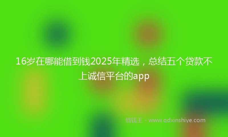 16岁在哪能借到钱2025年精选，总结五个贷款不上诚信平台的app
