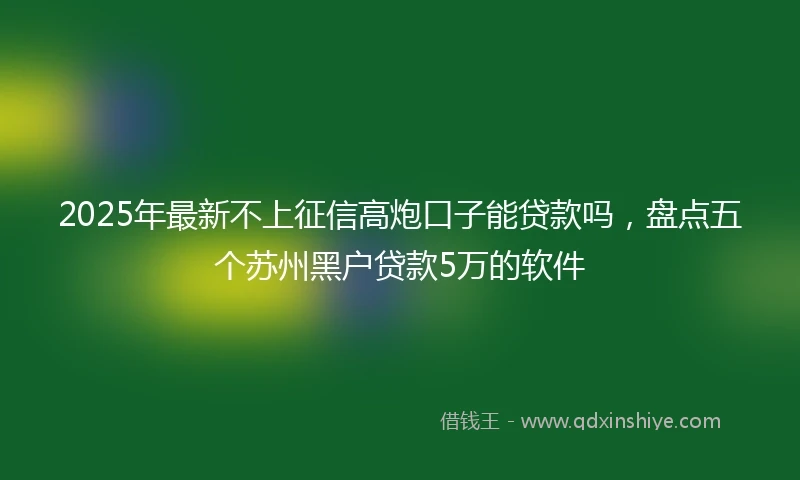 2025年最新不上征信高炮口子能贷款吗，盘点五个苏州黑户贷款5万的软件