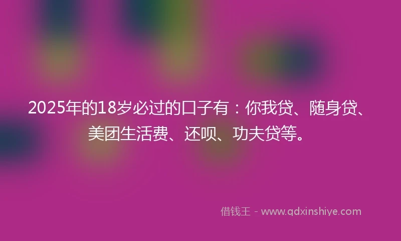 2025年的18岁必过的口子有：你我贷、随身贷、美团生活费、还呗、功夫贷等。