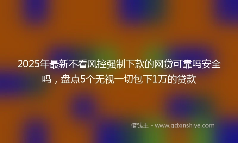 2025年最新不看风控强制下款的网贷可靠吗安全吗，盘点5个无视一切包下1万的贷款