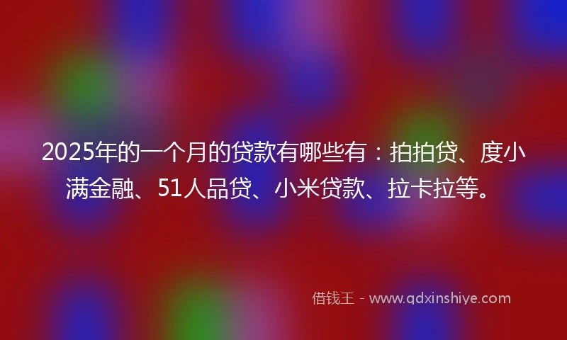 2025年的一个月的贷款有哪些有：拍拍贷、度小满金融、51人品贷、小米贷款、拉卡拉等。