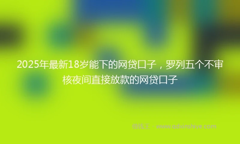 2025年最新18岁能下的网贷口子，罗列五个不审核夜间直接放款的网贷口子