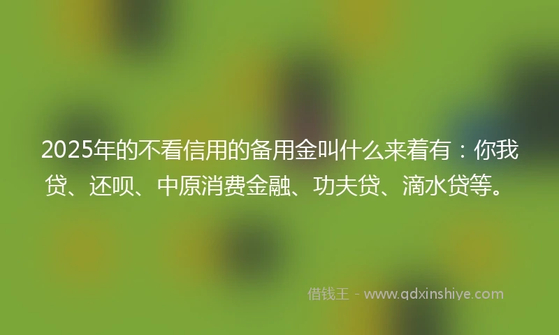 2025年的不看信用的备用金叫什么来着有：你我贷、还呗、中原消费金融、功夫贷、滴水贷等。