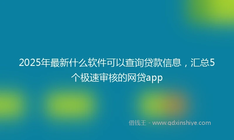 2025年最新什么软件可以查询贷款信息，汇总5个极速审核的网贷app
