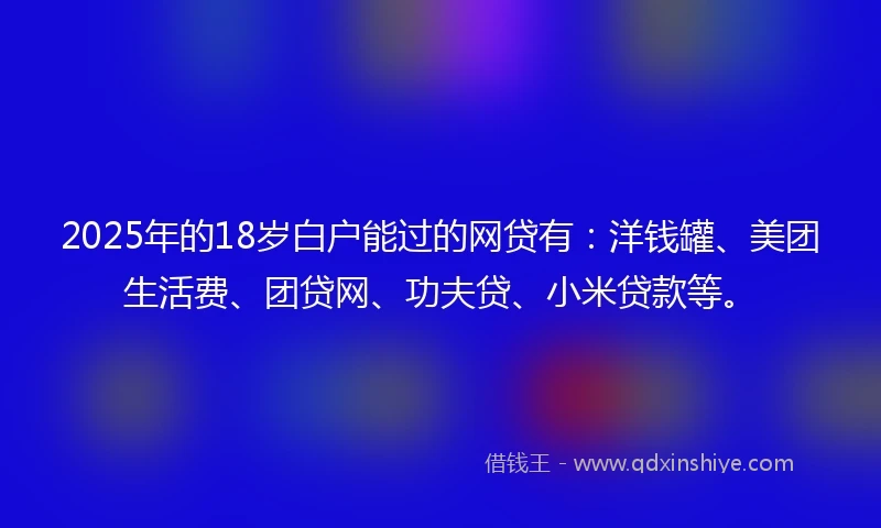2025年的18岁白户能过的网贷有：洋钱罐、美团生活费、团贷网、功夫贷、小米贷款等。