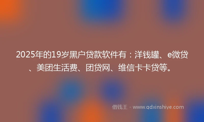 2025年的19岁黑户贷款软件有：洋钱罐、e微贷、美团生活费、团贷网、维信卡卡贷等。