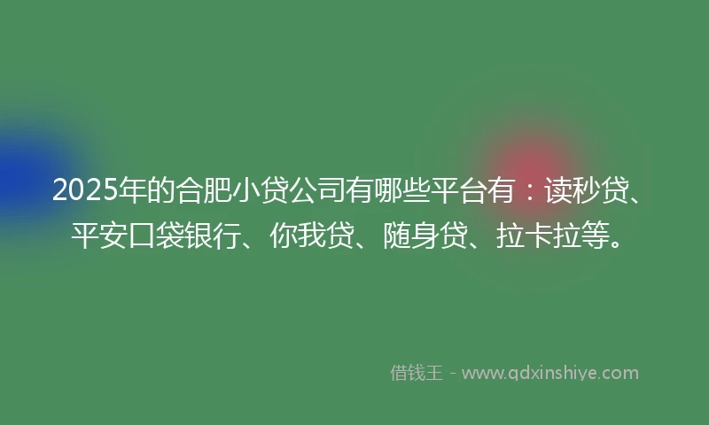 2025年的合肥小贷公司有哪些平台有：读秒贷、平安口袋银行、你我贷、随身贷、拉卡拉等。
