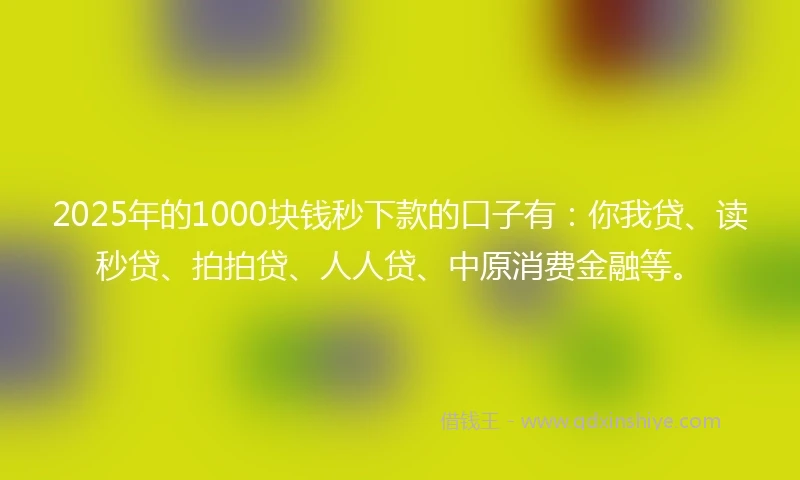 2025年的1000块钱秒下款的口子有：你我贷、读秒贷、拍拍贷、人人贷、中原消费金融等。