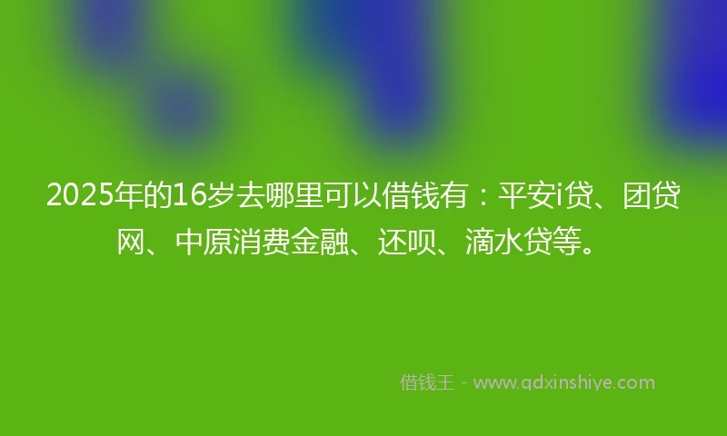 2025年的16岁去哪里可以借钱有：平安i贷、团贷网、中原消费金融、还呗、滴水贷等。