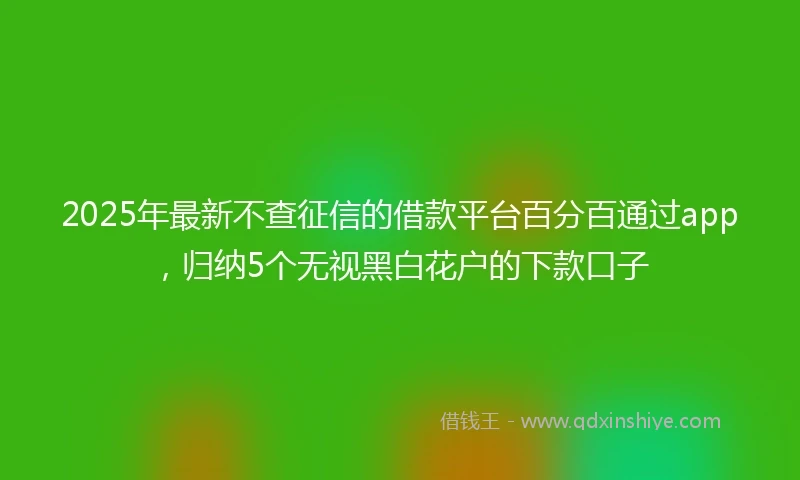 2025年最新不查征信的借款平台百分百通过app，归纳5个无视黑白花户的下款口子