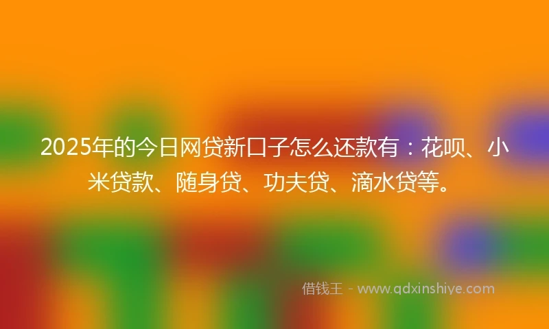 2025年的今日网贷新口子怎么还款有：花呗、小米贷款、随身贷、功夫贷、滴水贷等。
