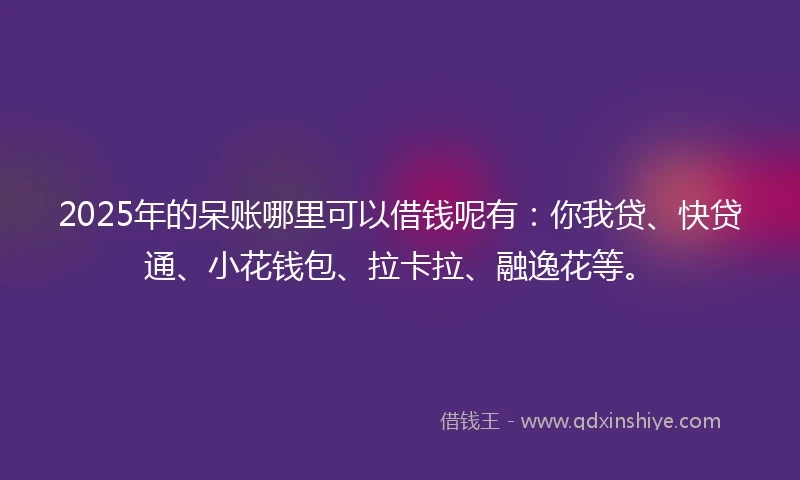 2025年的呆账哪里可以借钱呢有：你我贷、快贷通、小花钱包、拉卡拉、融逸花等。
