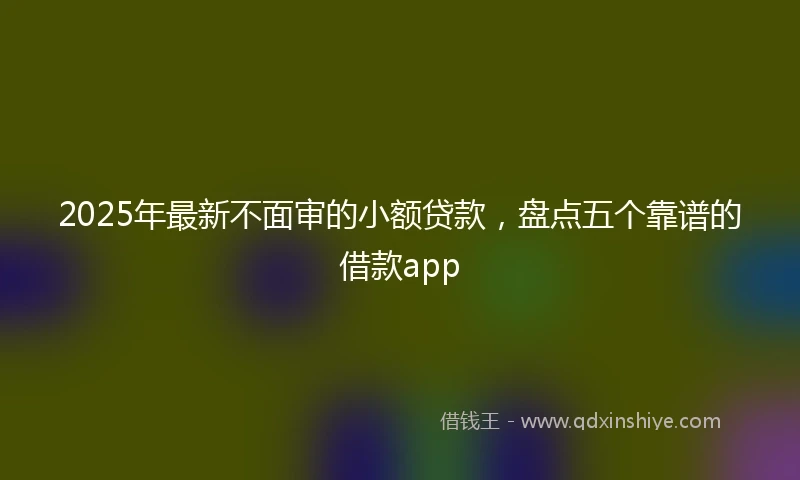 2025年最新不面审的小额贷款，盘点五个靠谱的借款app