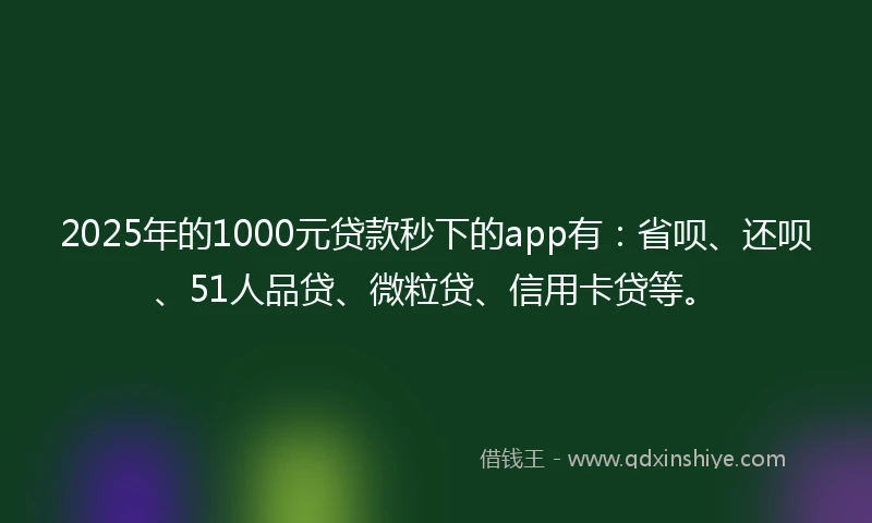 2025年的1000元贷款秒下的app有：省呗、还呗、51人品贷、微粒贷、信用卡贷等。