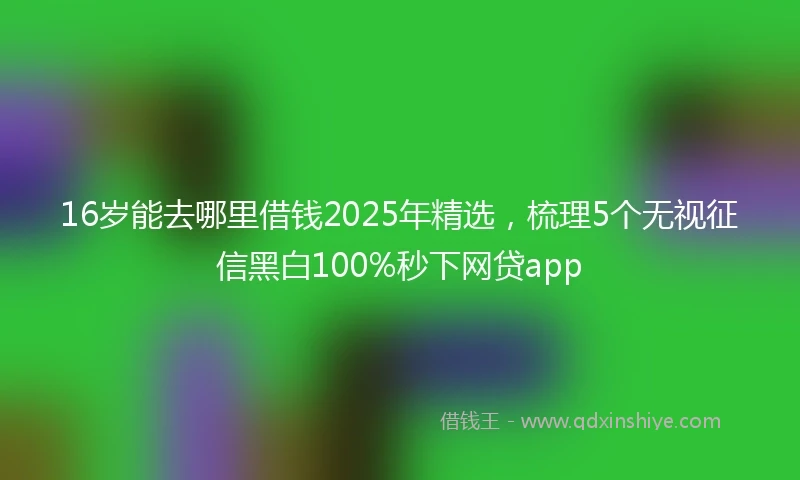 16岁能去哪里借钱2025年精选，梳理5个无视征信黑白100%秒下网贷app