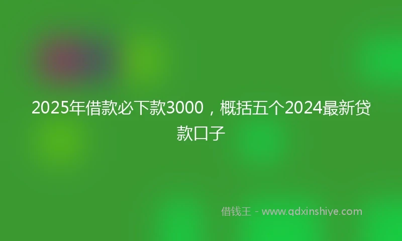 2025年借款必下款3000，概括五个2024最新贷款口子
