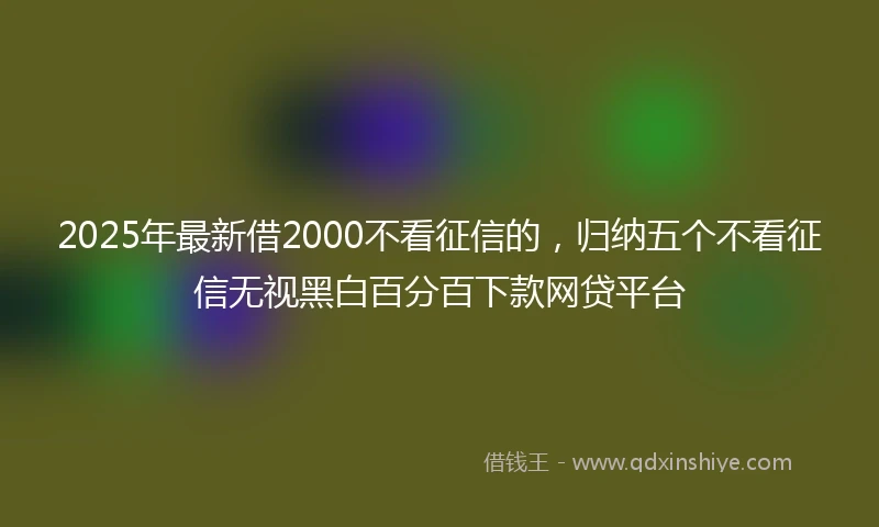 2025年最新借2000不看征信的，归纳五个不看征信无视黑白百分百下款网贷平台