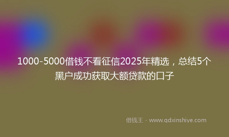 1000-5000借钱不看征信2025年精选，总结5个黑户成功获取大额贷款的口子