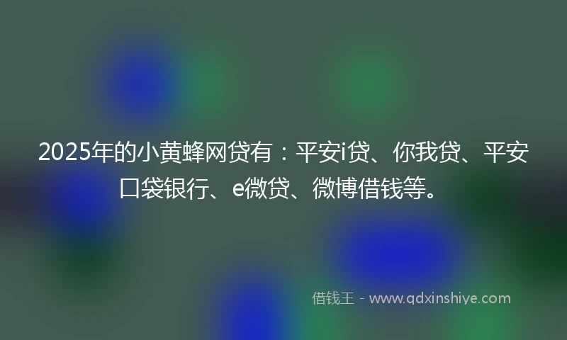 2025年的小黄蜂网贷有：平安i贷、你我贷、平安口袋银行、e微贷、微博借钱等。