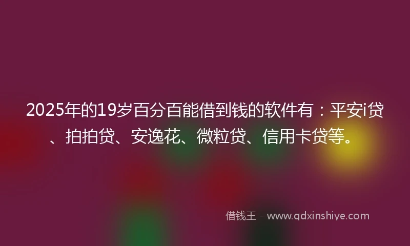 2025年的19岁百分百能借到钱的软件有：平安i贷、拍拍贷、安逸花、微粒贷、信用卡贷等。