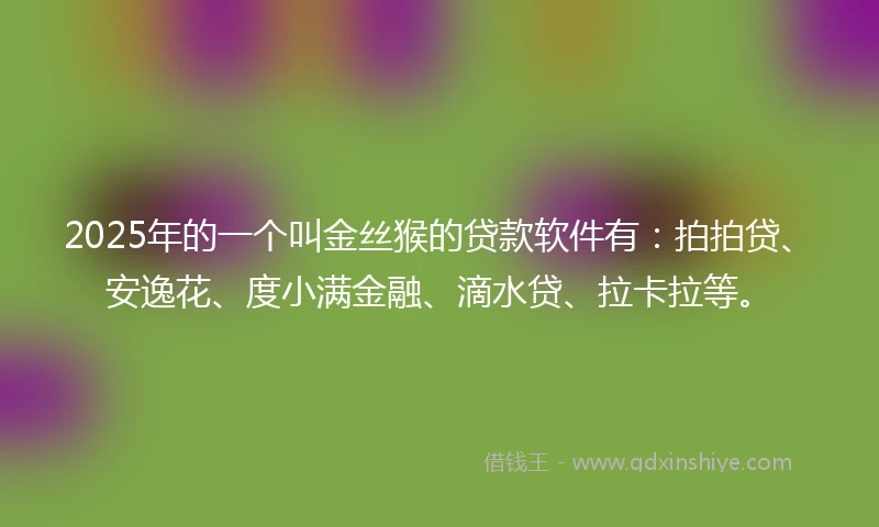 2025年的一个叫金丝猴的贷款软件有：拍拍贷、安逸花、度小满金融、滴水贷、拉卡拉等。