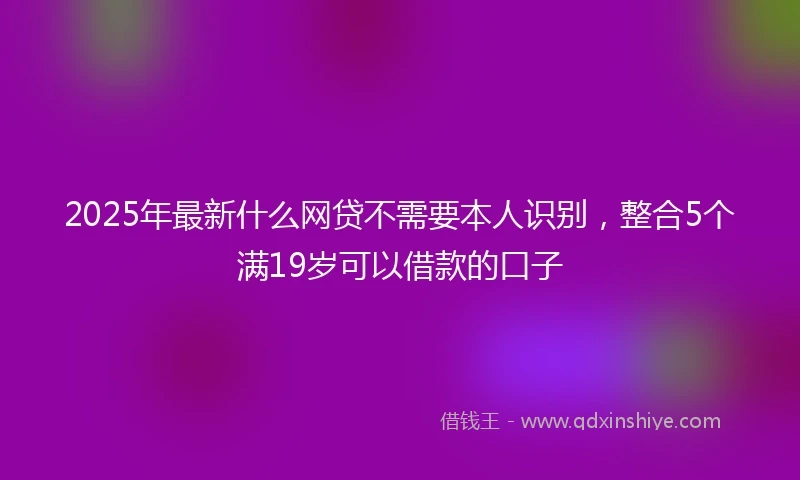 2025年最新什么网贷不需要本人识别，整合5个满19岁可以借款的口子
