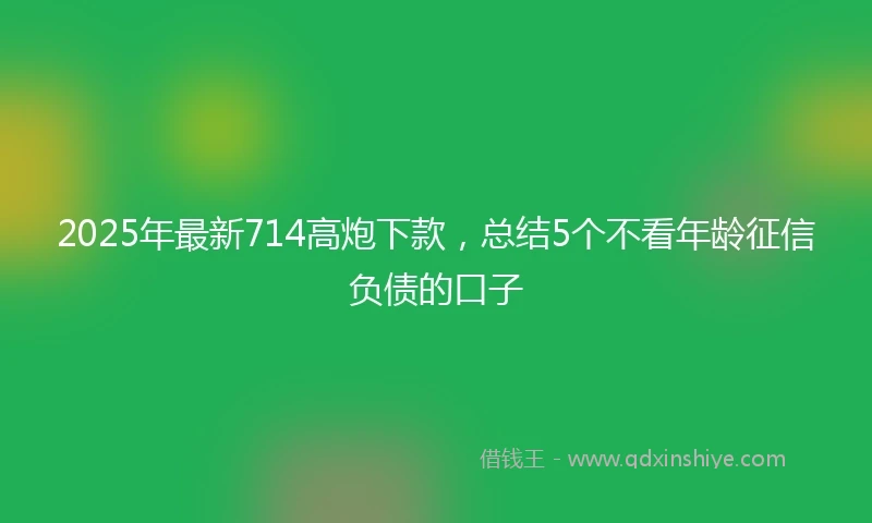 2025年最新714高炮下款，总结5个不看年龄征信负债的口子