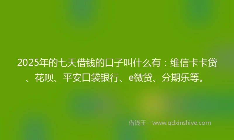 2025年的七天借钱的口子叫什么有：维信卡卡贷、花呗、平安口袋银行、e微贷、分期乐等。