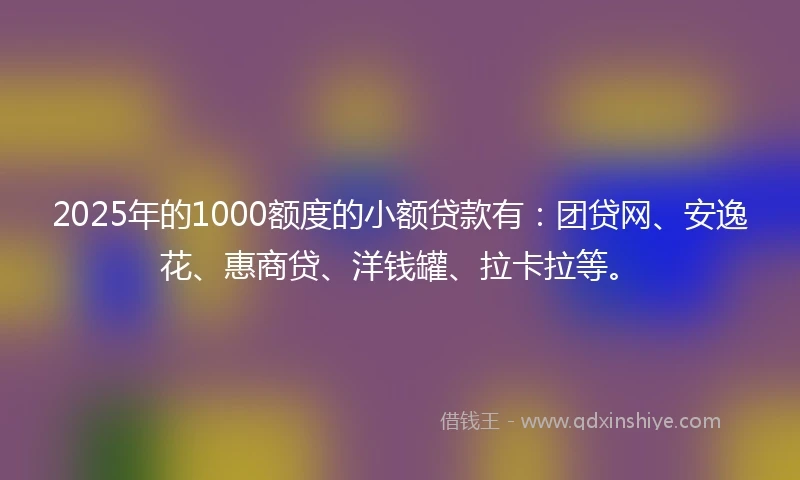 2025年的1000额度的小额贷款有：团贷网、安逸花、惠商贷、洋钱罐、拉卡拉等。