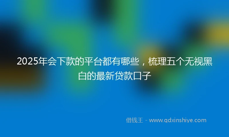 2025年会下款的平台都有哪些，梳理五个无视黑白的最新贷款口子