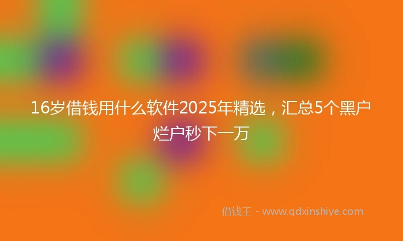 16岁借钱用什么软件2025年精选，汇总5个黑户烂户秒下一万