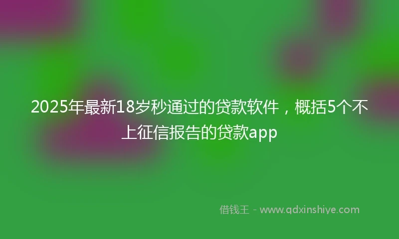 2025年最新18岁秒通过的贷款软件，概括5个不上征信报告的贷款app