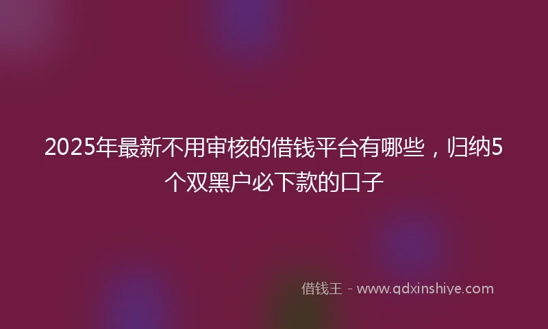 2025年最新不用审核的借钱平台有哪些，归纳5个双黑户必下款的口子