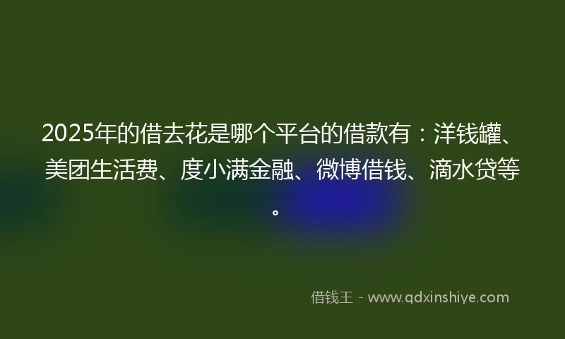 2025年的借去花是哪个平台的借款有：洋钱罐、美团生活费、度小满金融、微博借钱、滴水贷等。