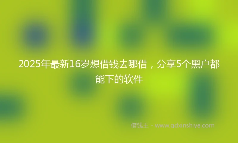 2025年最新16岁想借钱去哪借，分享5个黑户都能下的软件