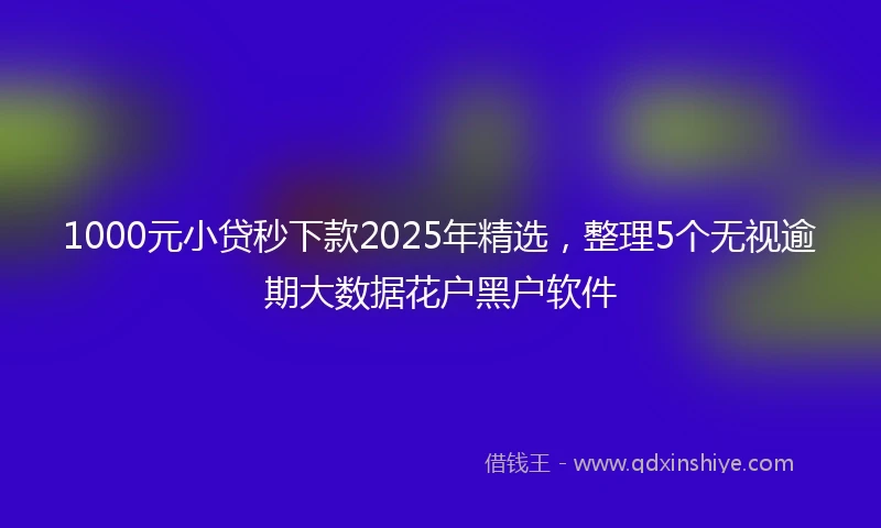 1000元小贷秒下款2025年精选，整理5个无视逾期大数据花户黑户软件