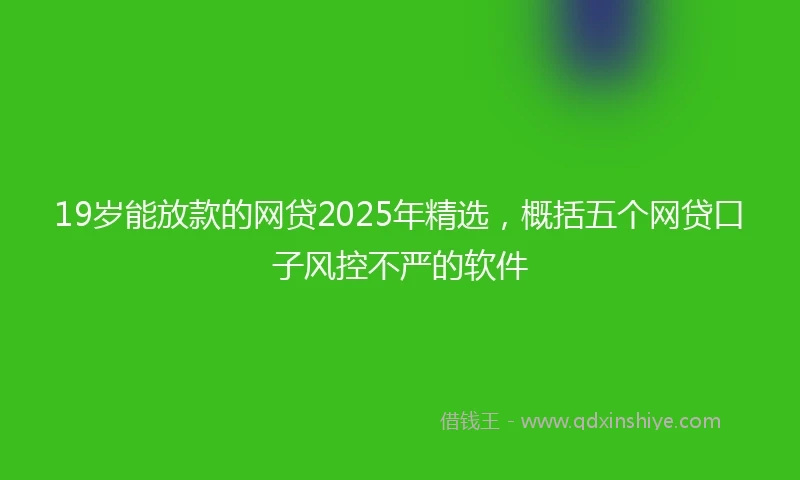 19岁能放款的网贷2025年精选，概括五个网贷口子风控不严的软件