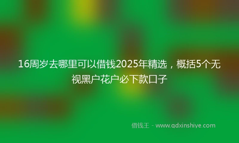 16周岁去哪里可以借钱2025年精选，概括5个无视黑户花户必下款口子