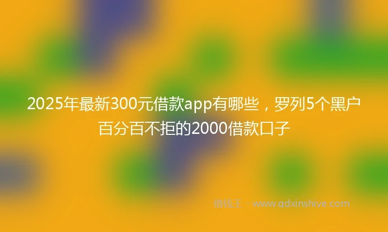 2025年最新300元借款app有哪些，罗列5个黑户百分百不拒的2000借款口子